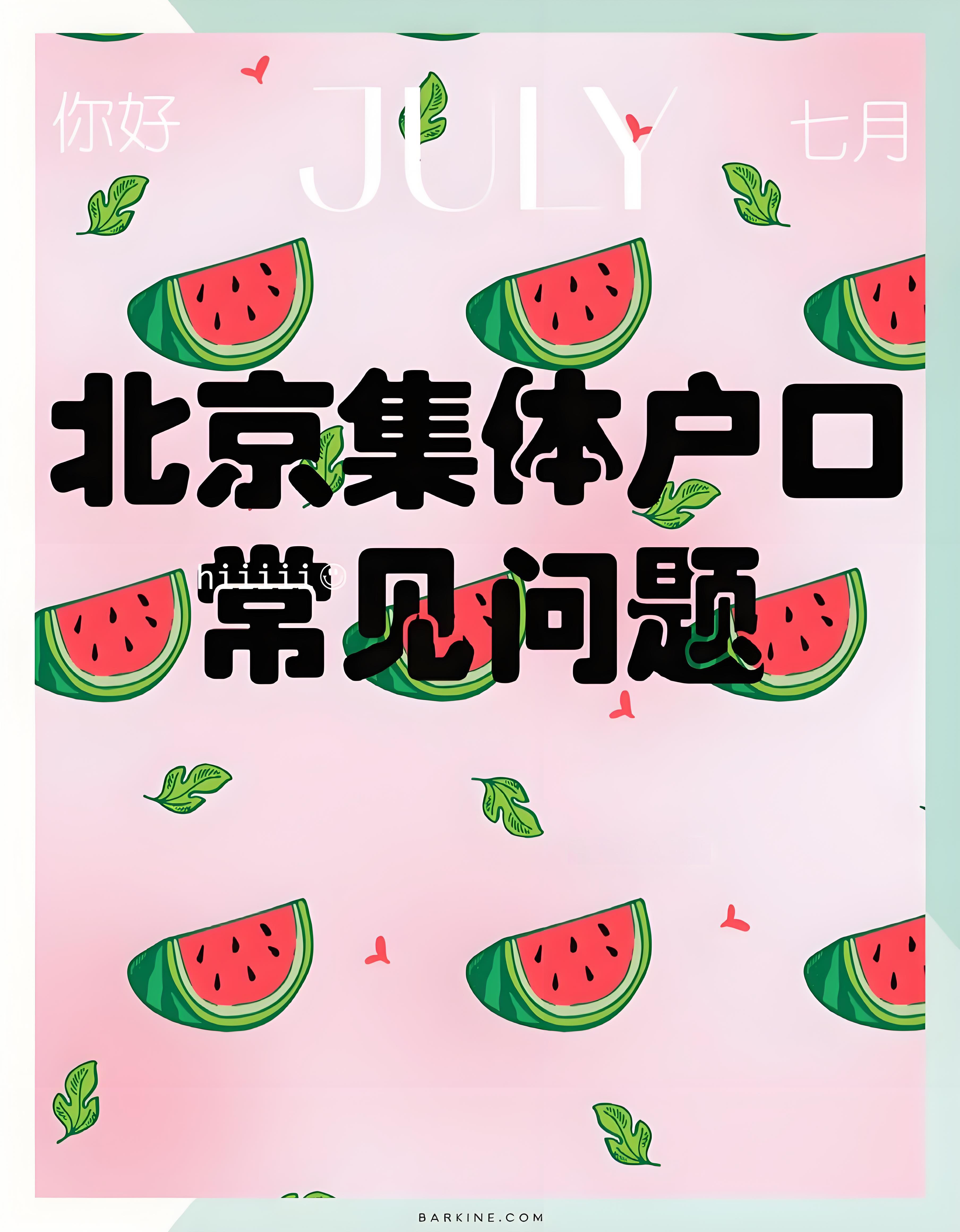 了解集体户口本的重要性与使用攻略